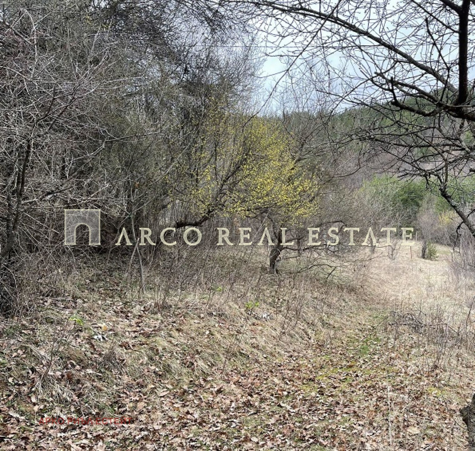 ������� ������ | Imot.bg � ����������� 17