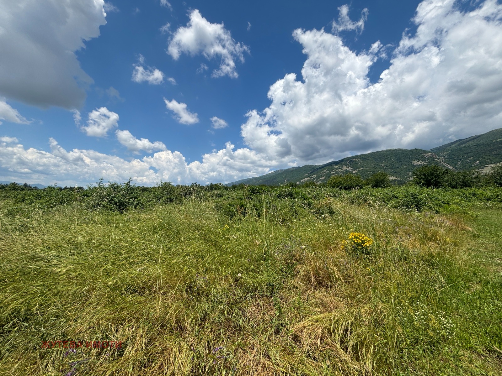 ������� ������ | Imot.bg � ����������� 6