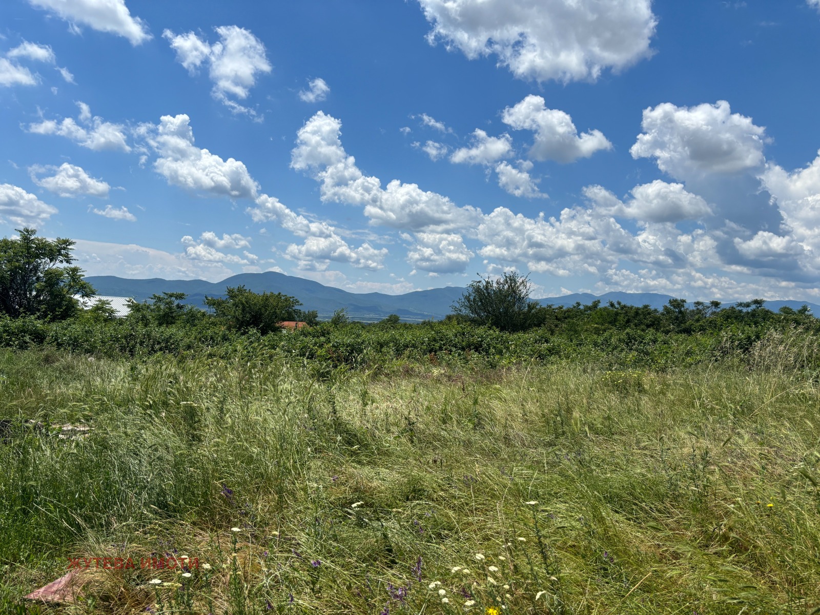 ������� ������ | Imot.bg � ����������� 5