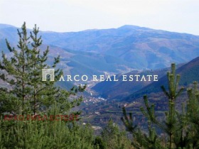 ������ ������� ������