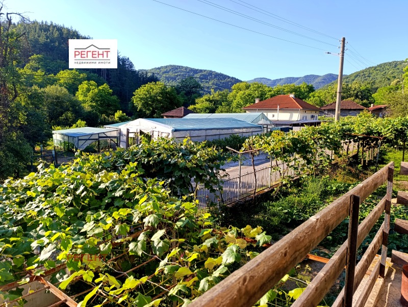 Til salg  Hus region Gabrovo , Muzga , 100 kvm | 58793618 - billede [14]