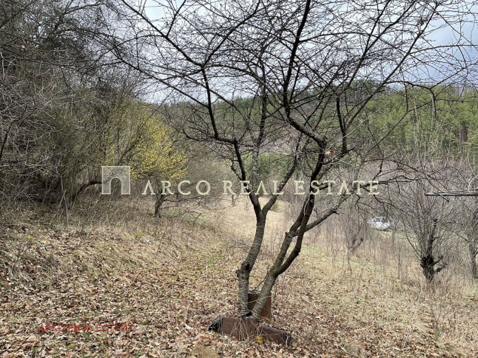 Продава ПАРЦЕЛ, с. Свидня, област София област, снимка 14 - Парцели - 54284543