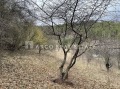 Продава ПАРЦЕЛ, с. Свидня, област София област, снимка 14