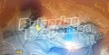 Продава ЗЕМЕДЕЛСКА ЗЕМЯ, с. Самораново, област Кюстендил, снимка 3