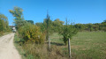 Продава  Парцел област Перник , с. Калище , 5036 кв.м | 11562655 - изображение [5]