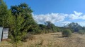 Продава  Парцел област Перник , с. Калище , 5036 кв.м | 11562655 - изображение [15]