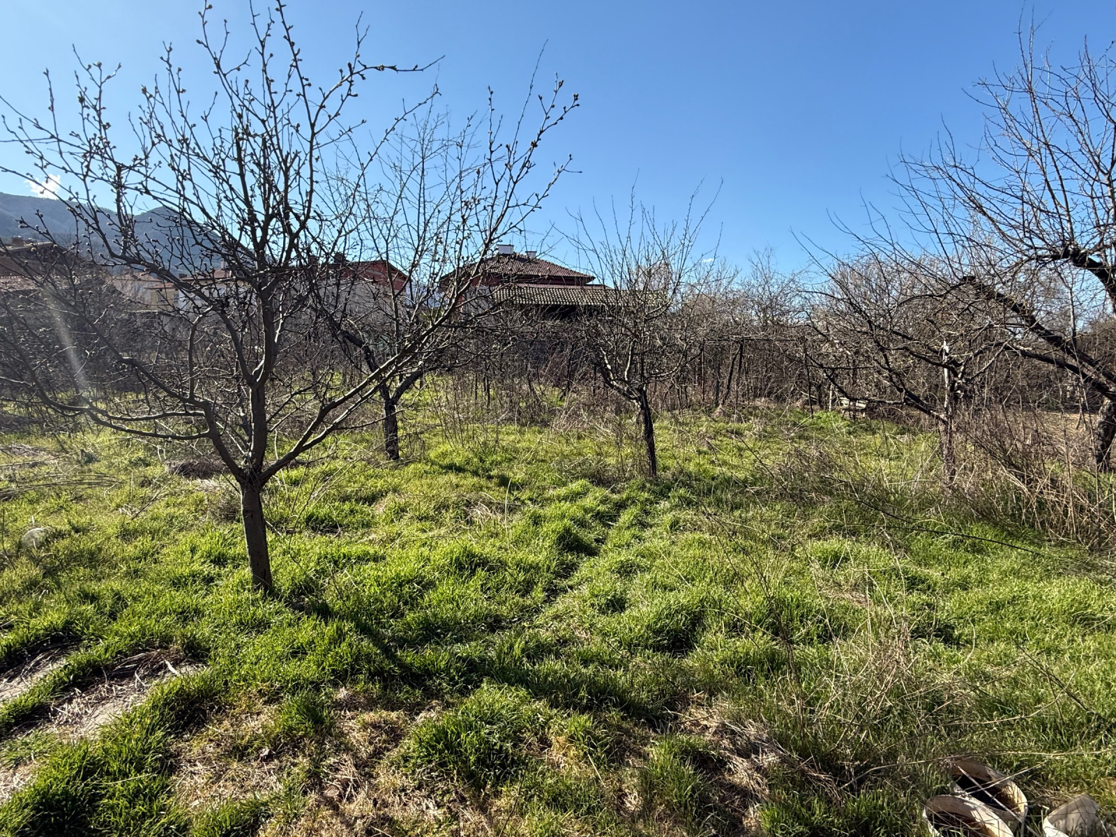 ������� ���� | Imot.bg � ����������� 12