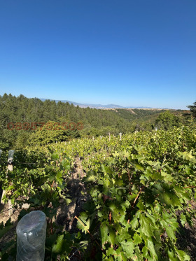 ������� ���������� ���� | Imot.bg � ����� ������ 9