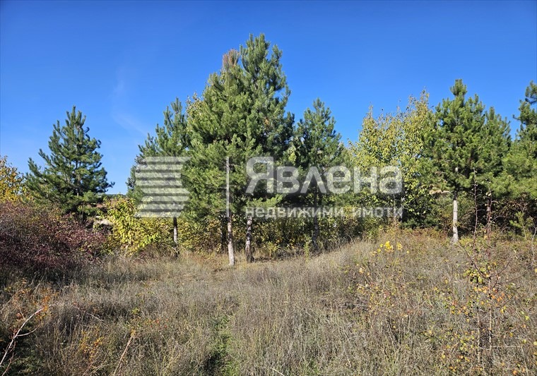 Продава ПАРЦЕЛ, гр. София, гр. Нови Искър, снимка 7 - Парцели - 55533224