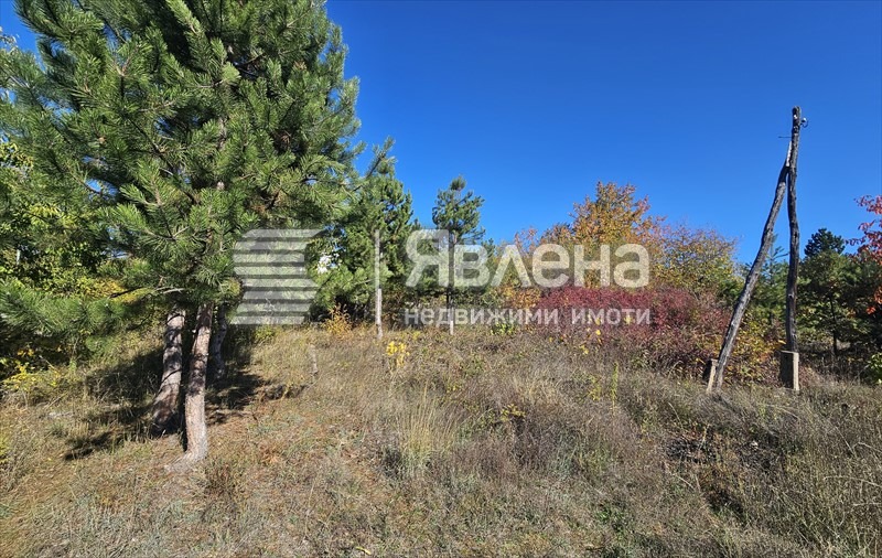 Продава ПАРЦЕЛ, гр. София, гр. Нови Искър, снимка 6 - Парцели - 55533224