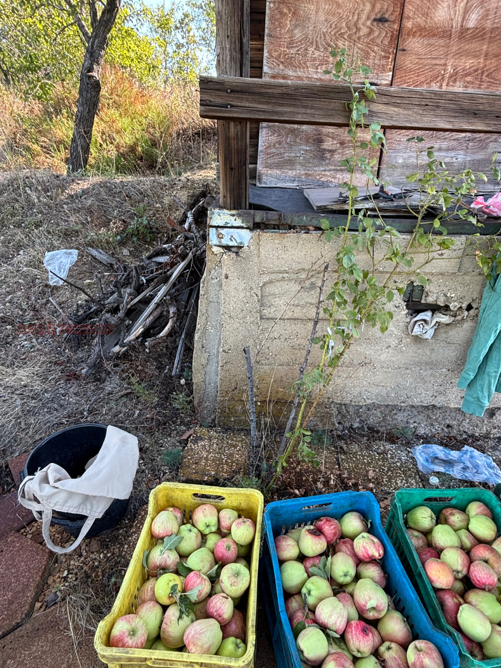 Продава ЗЕМЕДЕЛСКА ЗЕМЯ, гр. Благоевград, област Благоевград, снимка 6 - Земеделска земя - 56074254
