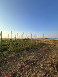 Продава ЗЕМЕДЕЛСКА ЗЕМЯ, с. Климентово, област Варна, снимка 4