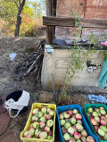 Продава ЗЕМЕДЕЛСКА ЗЕМЯ, гр. Благоевград, област Благоевград, снимка 6