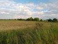 Продава ПАРЦЕЛ, област Пловдив, с. Граф Игнатиево • 75000 € • 79894883 — Holmes.bg