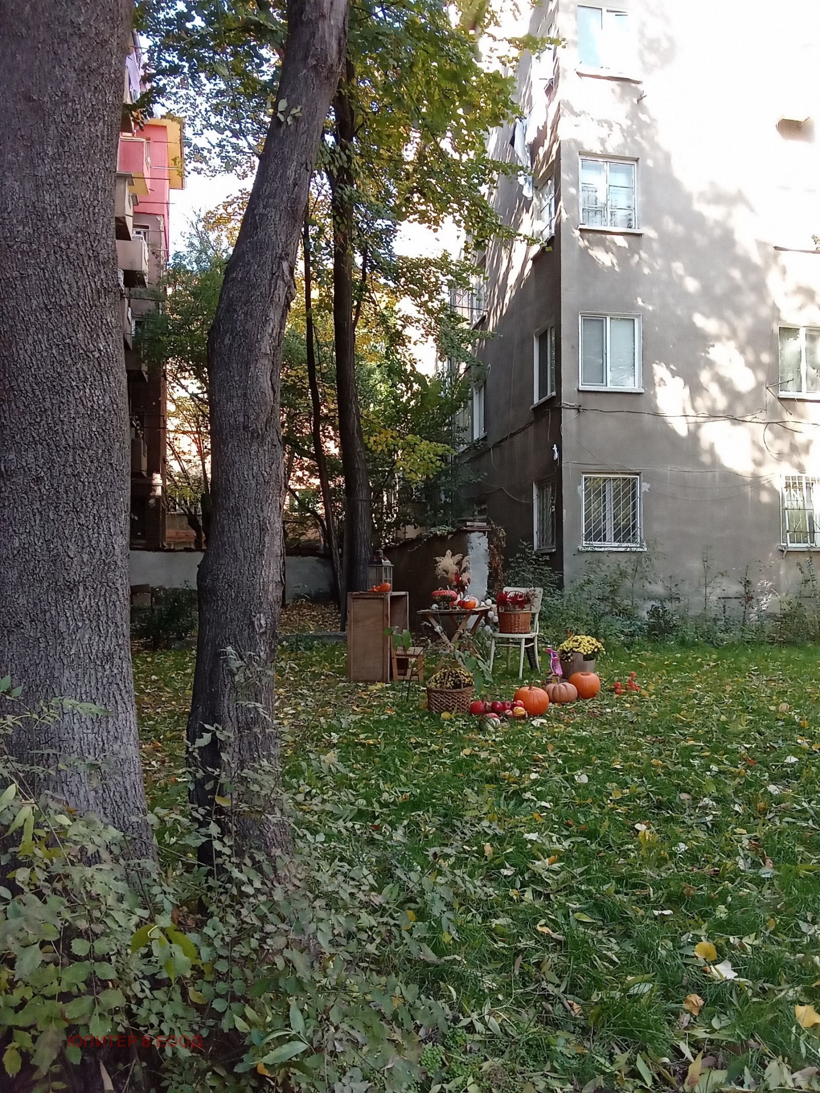 ������� 2-����� | Imot.bg � ����������� 8