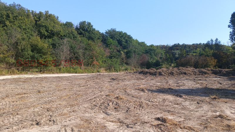 À venda  Trama Varna , Konstantinovo , 1000 m² | 62448649 - imagem [9]