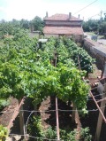 Продава КЪЩА, с. Питово, област Сливен, снимка 7