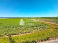 Продава 1-СТАЕН, област Бургас, к.к. Слънчев бряг • 34000 € / 66498.22 лв. • 97060710 10