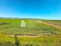 Продава 1-СТАЕН, област Бургас, к.к. Слънчев бряг • 34000 € / 66498.22 лв. • 97060710 11