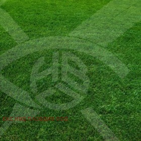 ����� ������� ������,�. ����, ������ �������