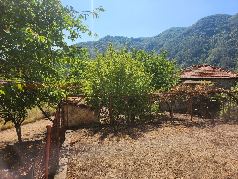 Продава ВИЛА, с. Средногорци, област Смолян, снимка 6 - Вили - 52785538