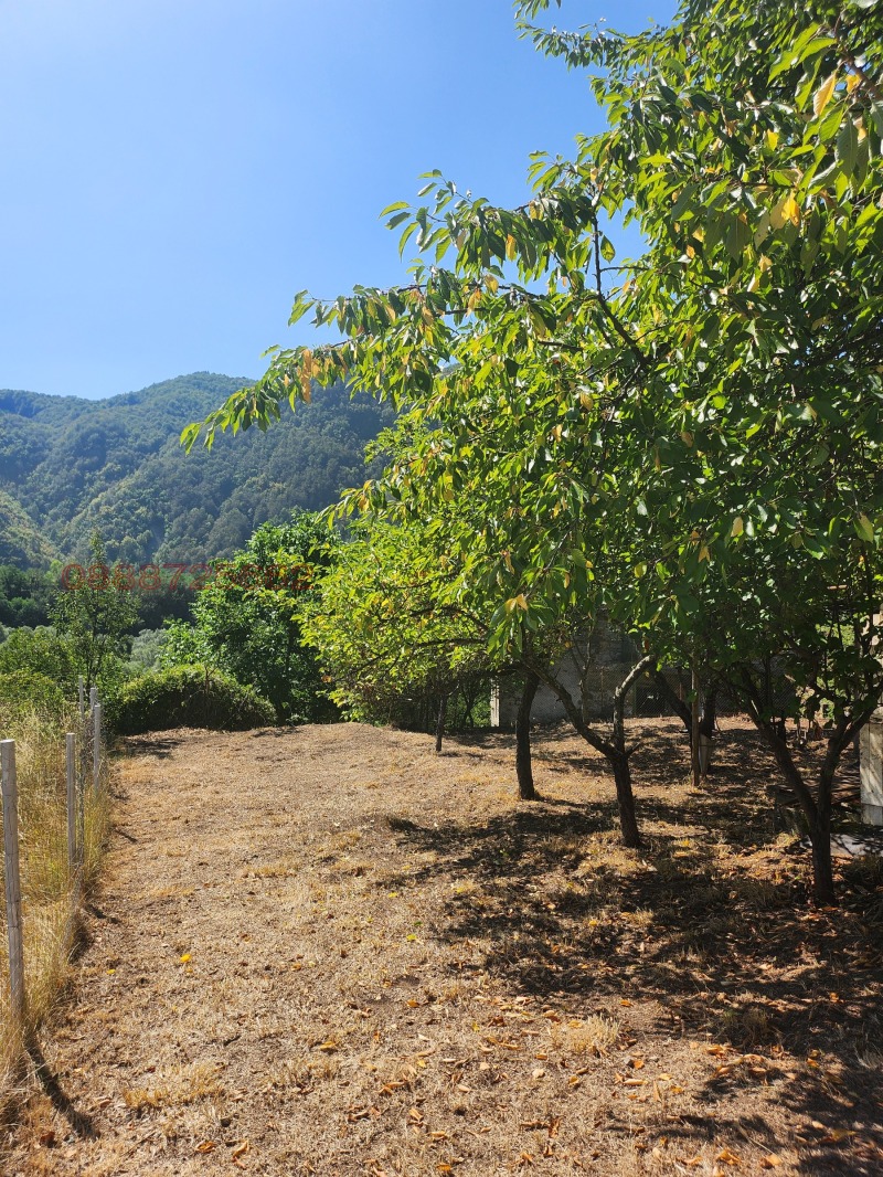 Продава ВИЛА, с. Средногорци, област Смолян, снимка 3 - Вили - 52785538