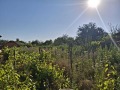 Продава КЪЩА, с. Малина, област Добрич, снимка 11