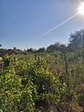 Продава КЪЩА, с. Малина, област Добрич, снимка 12
