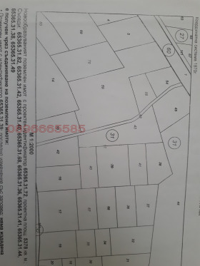 Продажба на парцели в област Кюстендил — страница 6 - изображение 16 