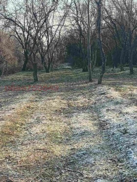 ������� ������ | Imot.bg � ����� ������ 8