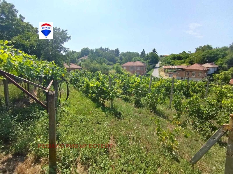 На продаж  Будинок область Русе , Горно Абланово , 84 кв.м | 36195552 - зображення [4]