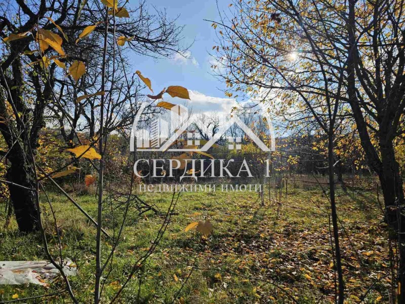 Продава КЪЩА, с. Дяково, област Кюстендил, снимка 6 - Къщи - 52637828