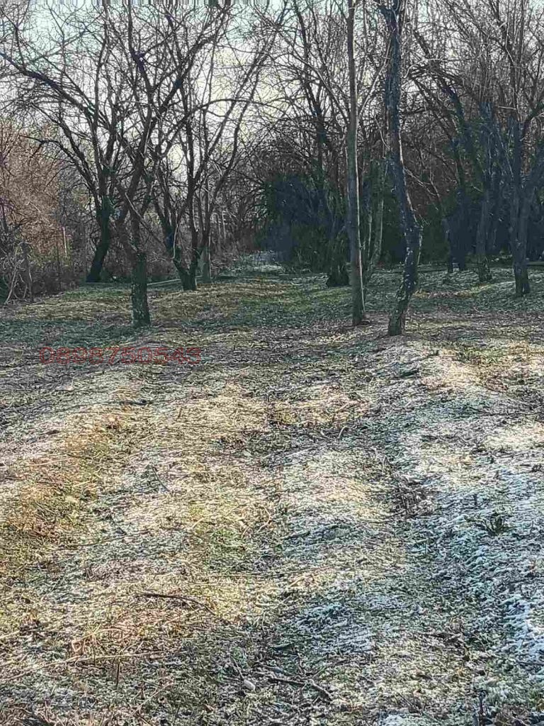 Продава ПАРЦЕЛ, с. Марково, област Пловдив, снимка 7 - Парцели - 53152231