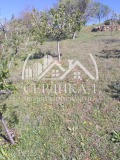 Продава ЗЕМЕДЕЛСКА ЗЕМЯ, с. Крайници, област Кюстендил, снимка 1