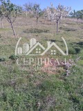 Продава ЗЕМЕДЕЛСКА ЗЕМЯ, с. Крайници, област Кюстендил, снимка 2