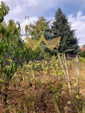 Продава КЪЩА, град Варна, м-т Манастирски рид • 125000 € • 80473417 — Holmes.bg