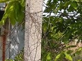 Продава ПАРЦЕЛ, област Пловдив, с. Ягодово • 55000 € • 78985953 — Holmes.bg