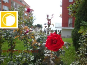  2- | Imot.bg    13