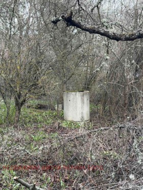 ������� ���� | Imot.bg � ����� ������ 12