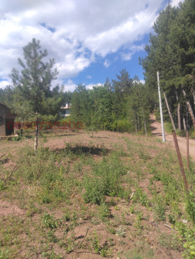 ������� ������ | Imot.bg � ����� ������ 5
