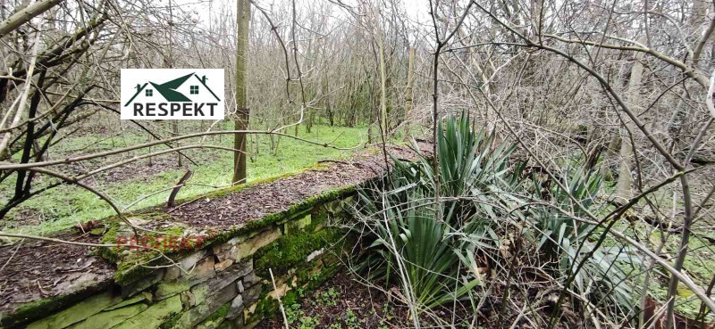 Продава КЪЩА, с. Яздач, област Стара Загора, снимка 7 - Къщи - 53426266