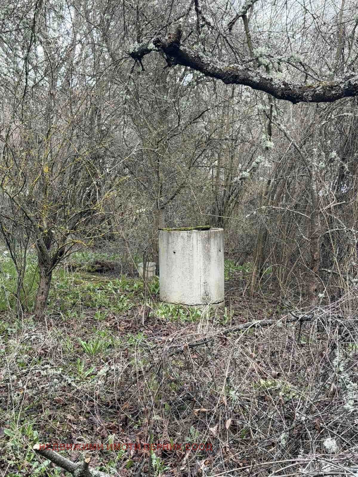 Продава КЪЩА, с. Радибош, област Перник, снимка 12 - Къщи - 54128881