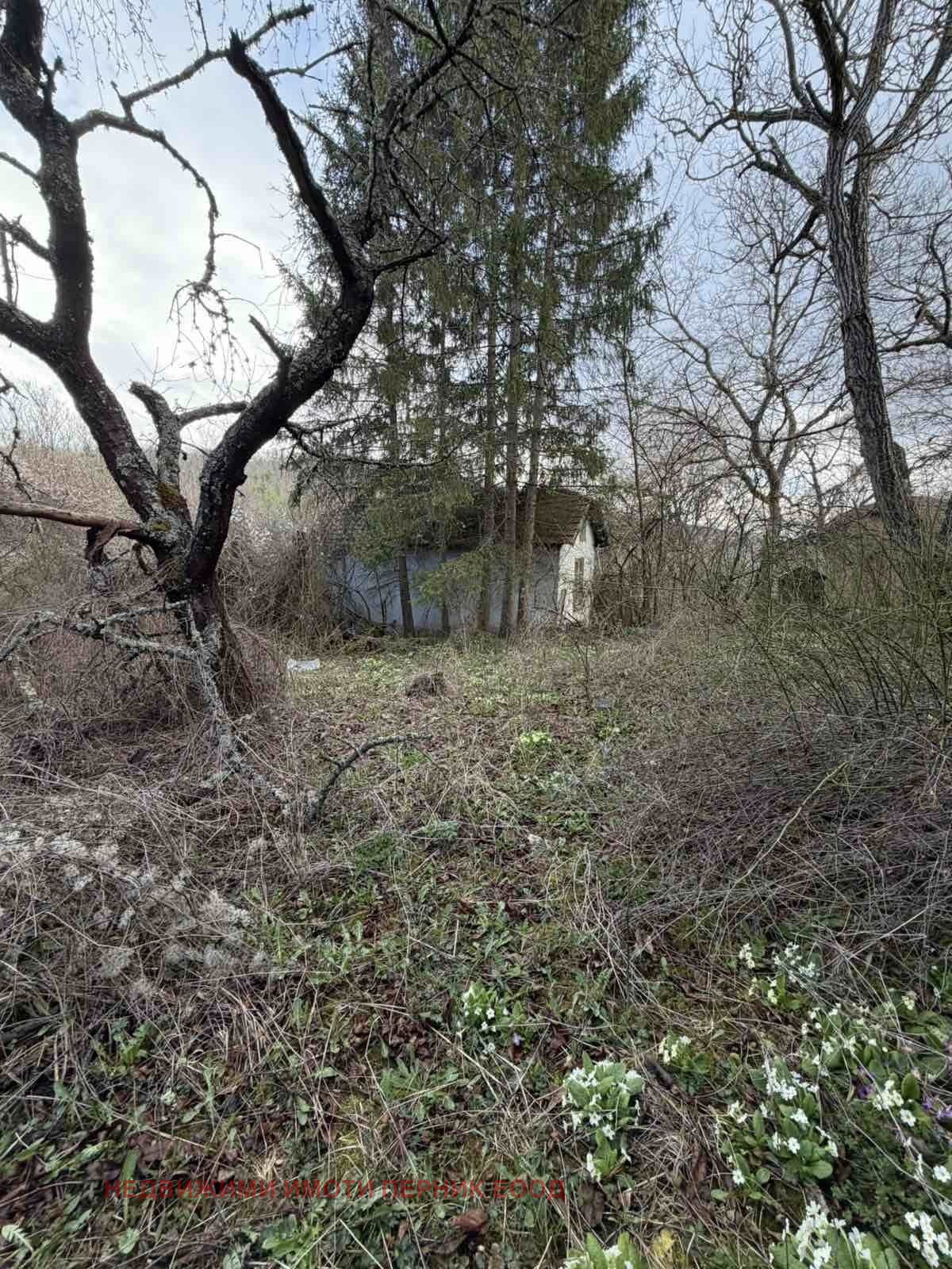 Продава КЪЩА, с. Радибош, област Перник, снимка 13 - Къщи - 54128881