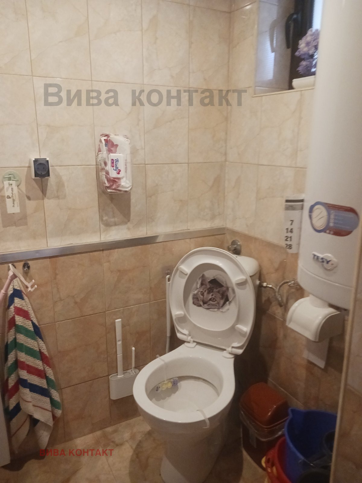 Продава ВИЛА, с. Кранево, област Добрич, снимка 6 - Вили - 56167650