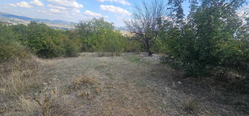 Продава ПАРЦЕЛ в област Кърджали, с. Петлино - 514 кв.м / 23 519.43 € » 46 000 лв., ТБС БГПРОПЪРТИС
