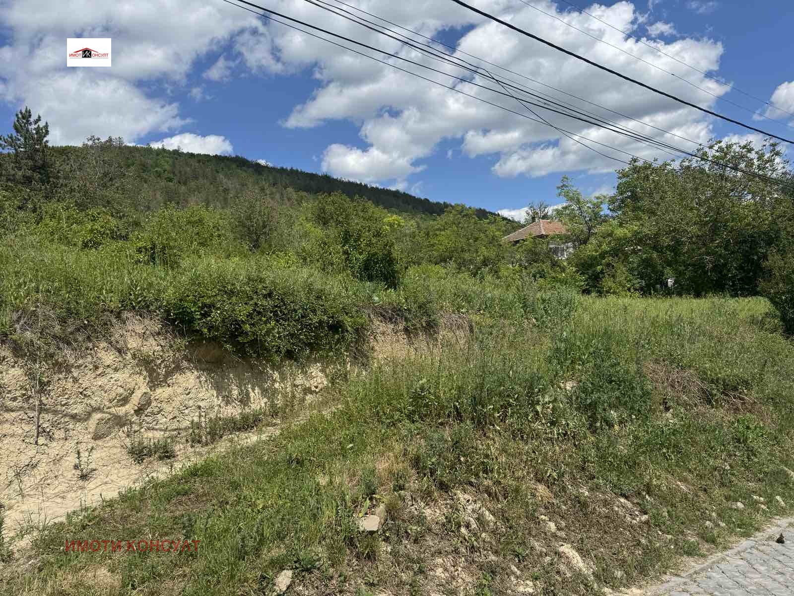 Продава ПАРЦЕЛ, гр. Дебелец, област Велико Търново, снимка 2 - Парцели - 53673054