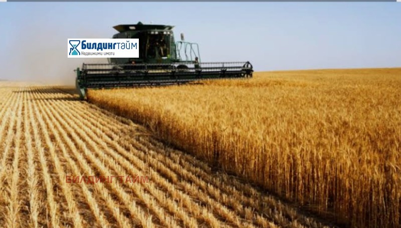 Продава ЗЕМЕДЕЛСКА ЗЕМЯ, с. Кълново, област Шумен