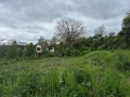 Продава ПАРЦЕЛ, гр. Драгоман, област София област, снимка 3