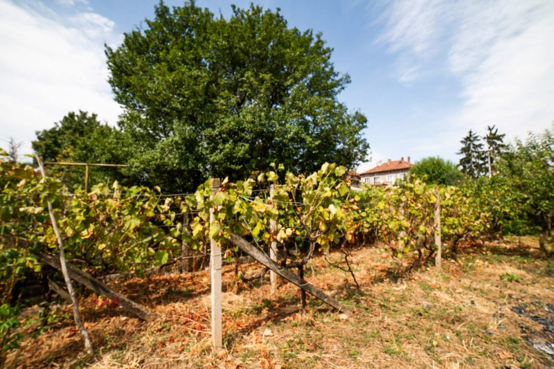 In vendita  Casa Sofia , Novi Iskar , 120 mq | 76805151 - Immagine [14]
