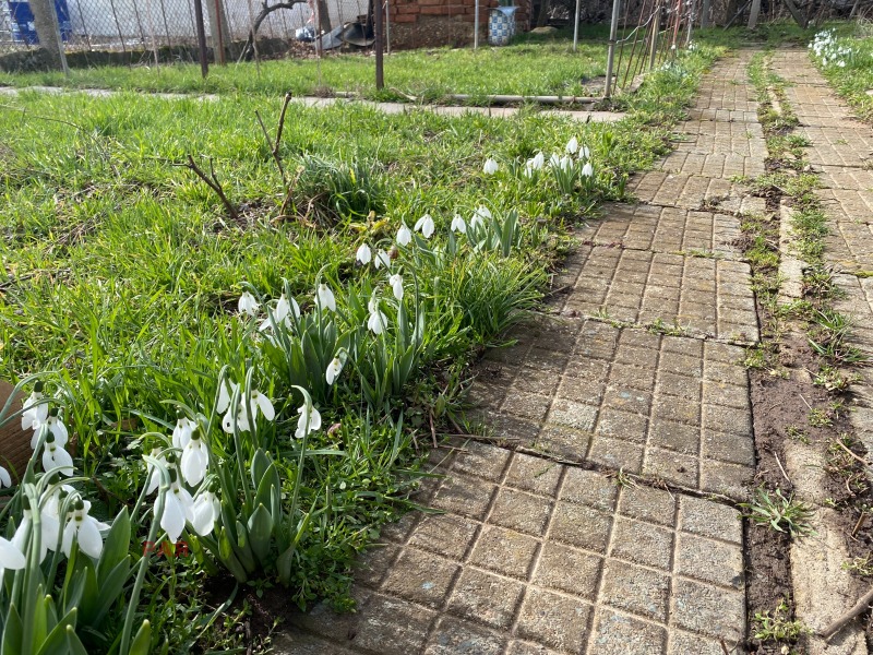 Продава КЪЩА, гр. София, гр. Нови Искър, снимка 1 - Къщи - 53001538